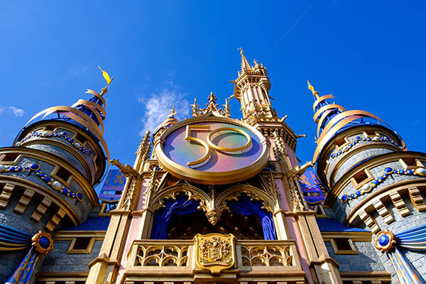 Services in orlando for theme parks